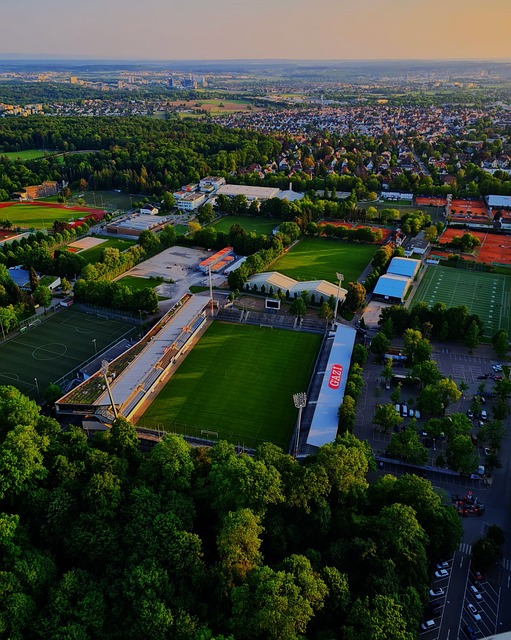 的排名则相 的排名则相