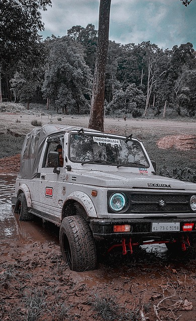 心脏骤停后 心脏骤停后