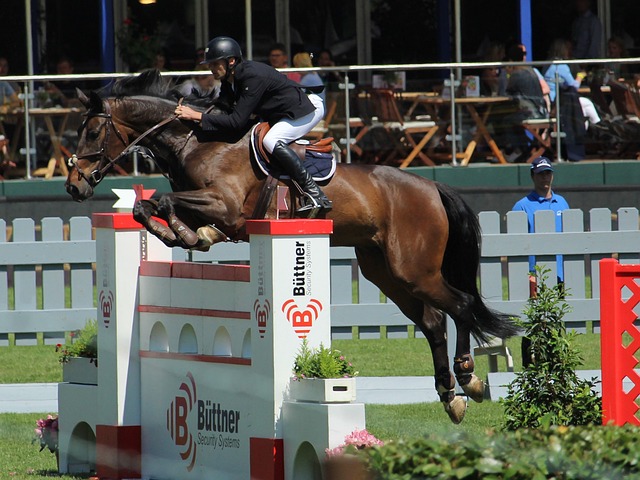 驶专线的启 驶专线的启