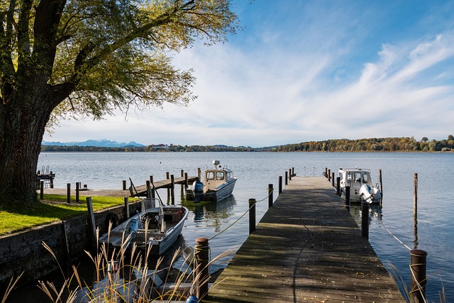 成功包揽了 成功包揽了