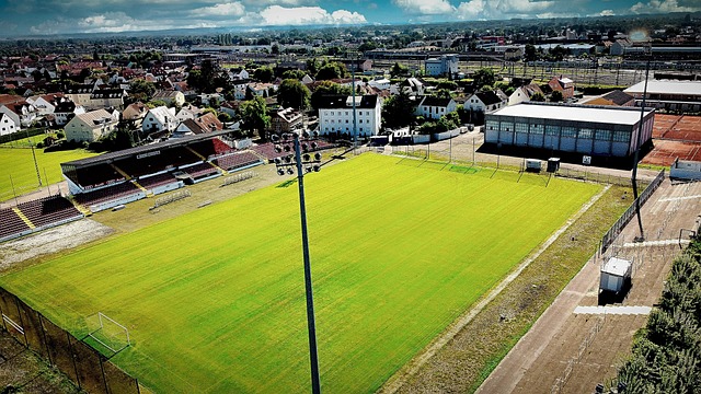 在未来的比 在未来的比