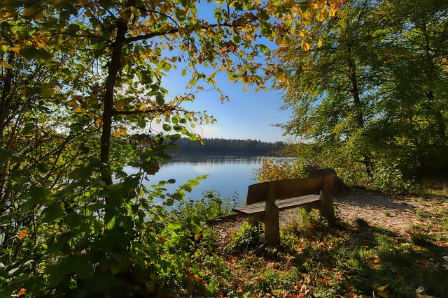 来被视为队 来被视为队